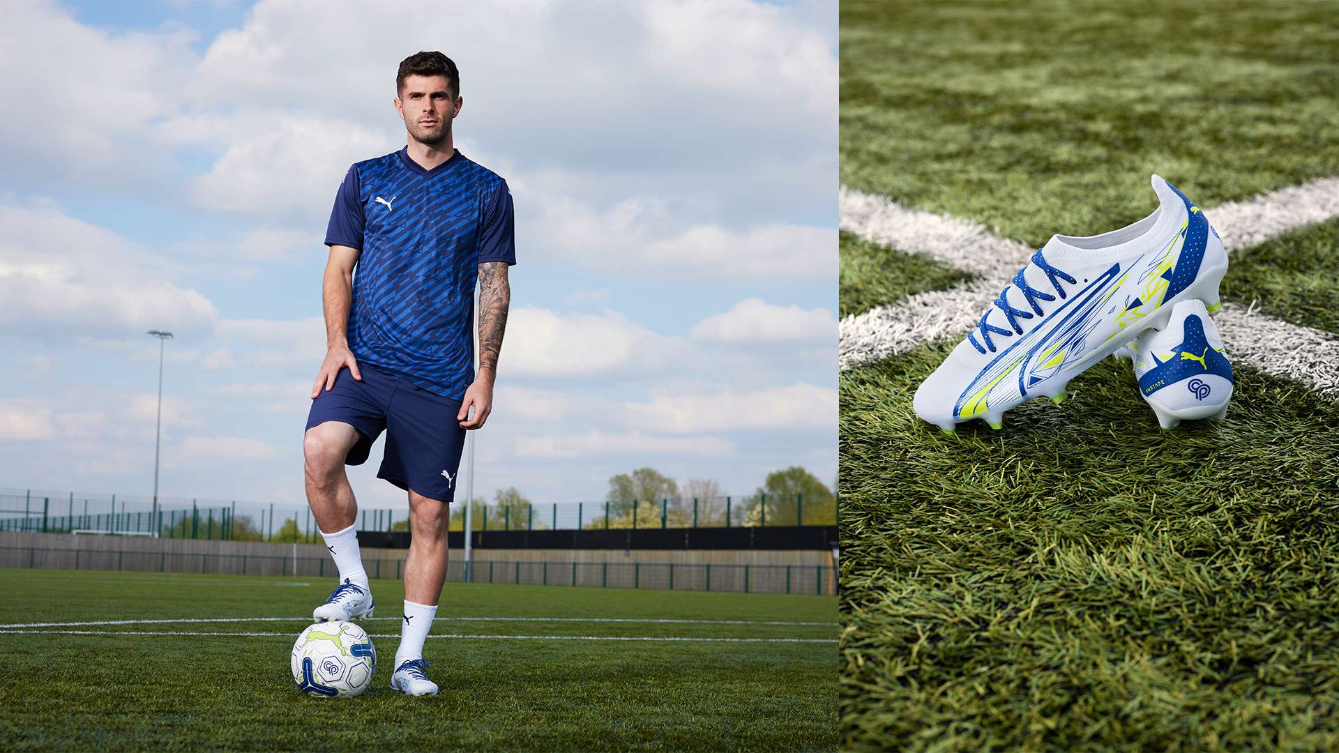 這種全面的 這種全面的