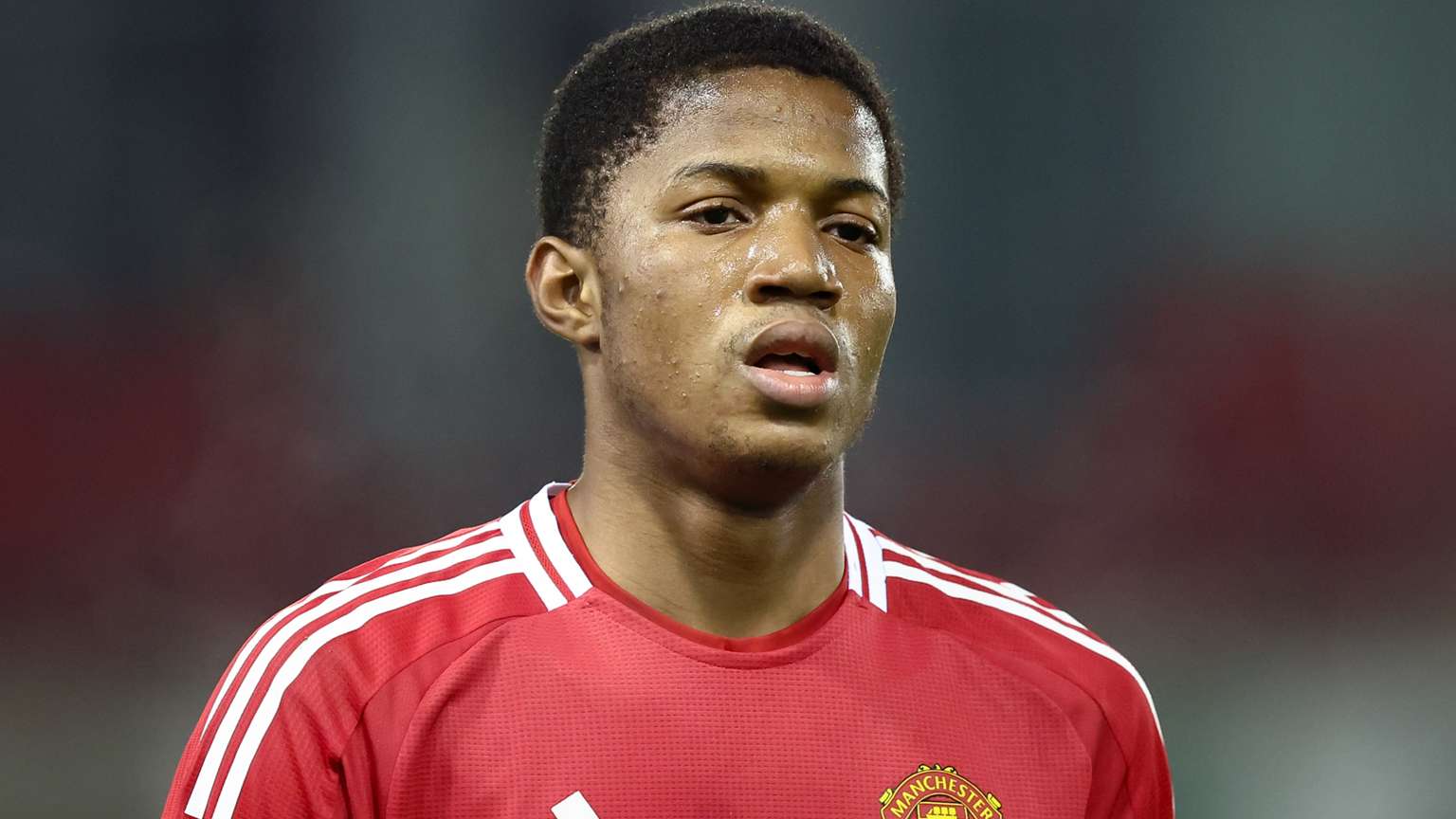 了他们的士 了他们的士